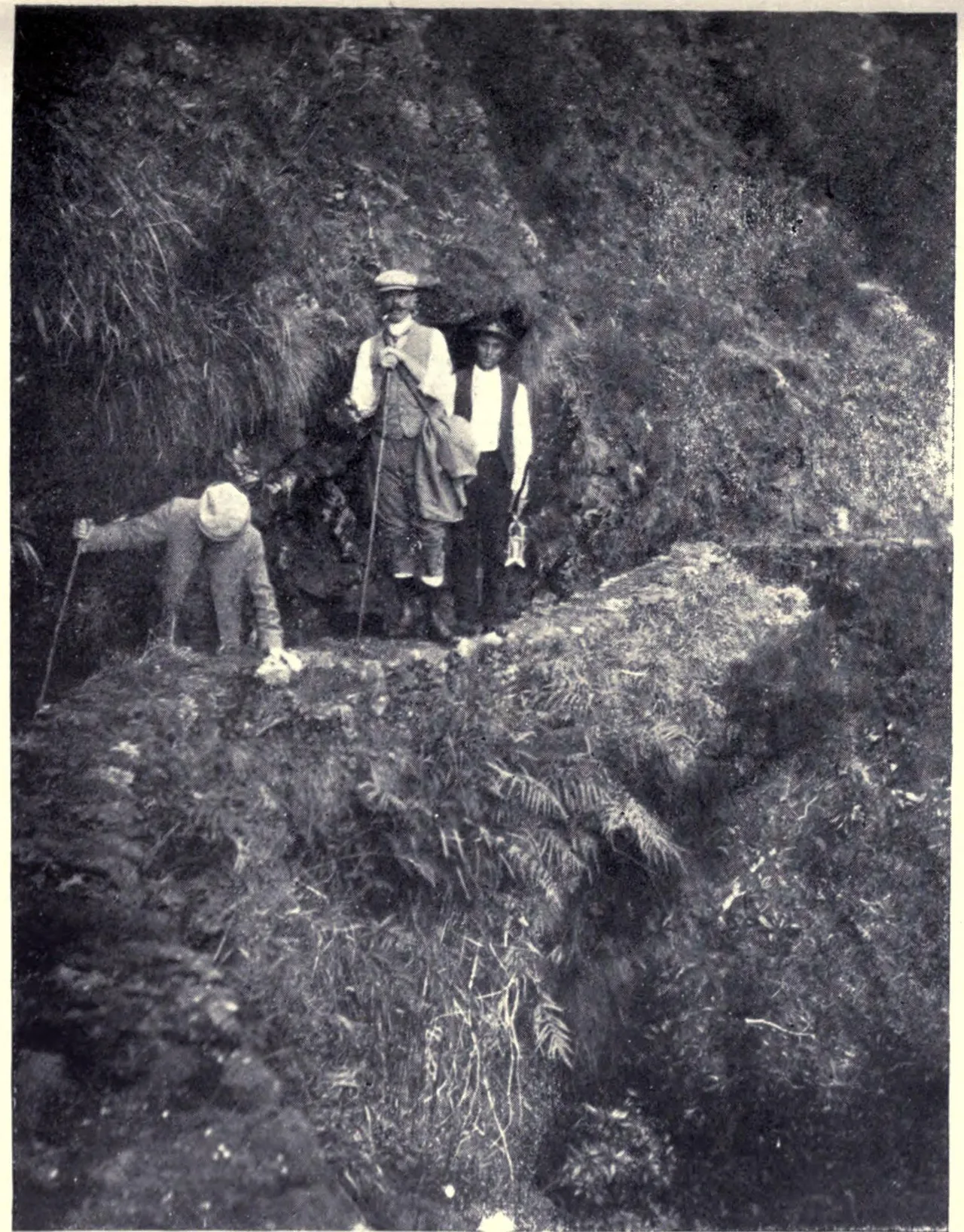 A man on the narrow ledge beside the Levada de João Gomes in 1909, with a sheer drop below him