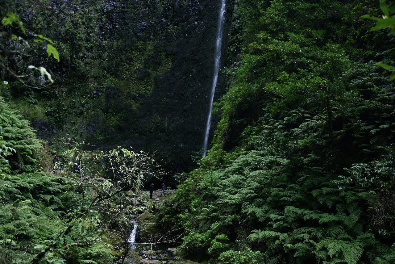 Caminho do Norte, Wanderweg auf Madeira (PR21)