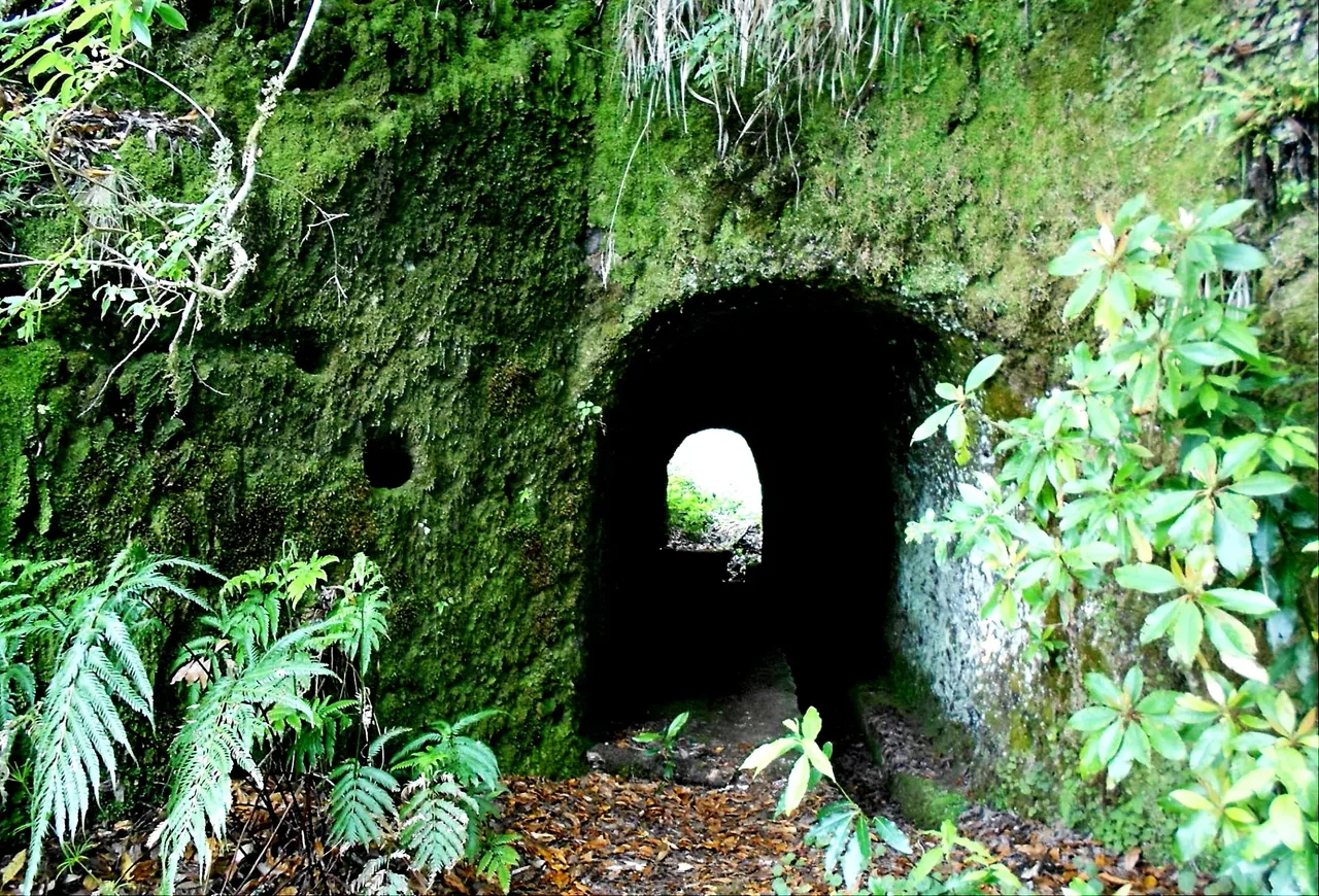 Caminho do Pináculo e Folhadal, Wanderweg auf Madeira (PR17)
