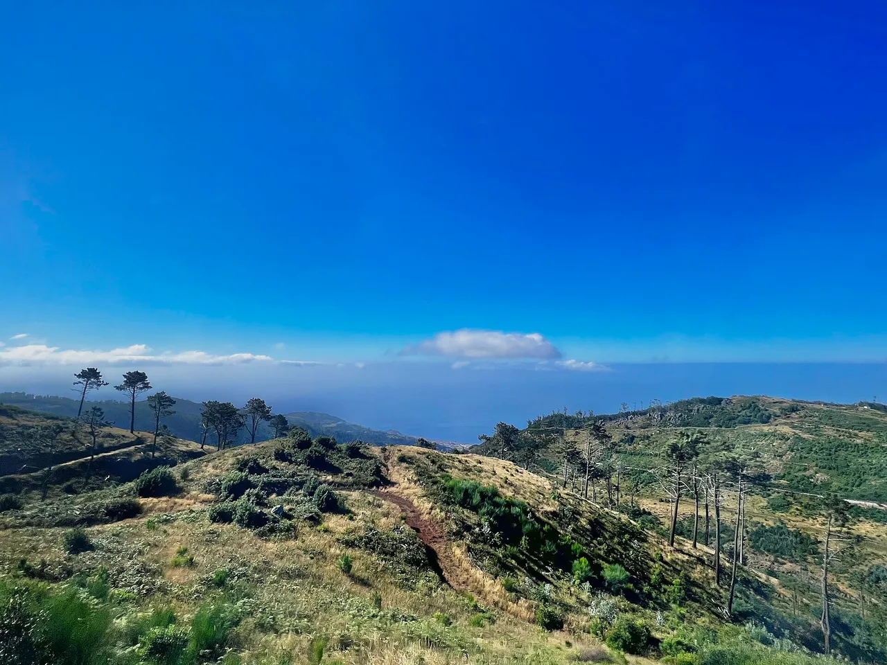 Caminho Real do Monte, Wanderweg auf Madeira (PR3.1)