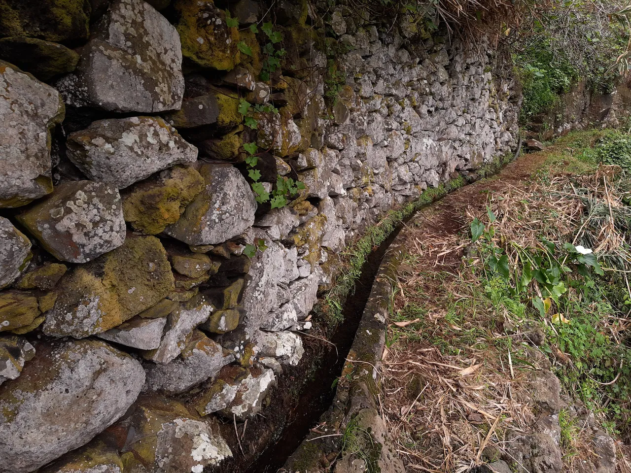 Levada da Azenha, Madeira hiking trail (PR23)