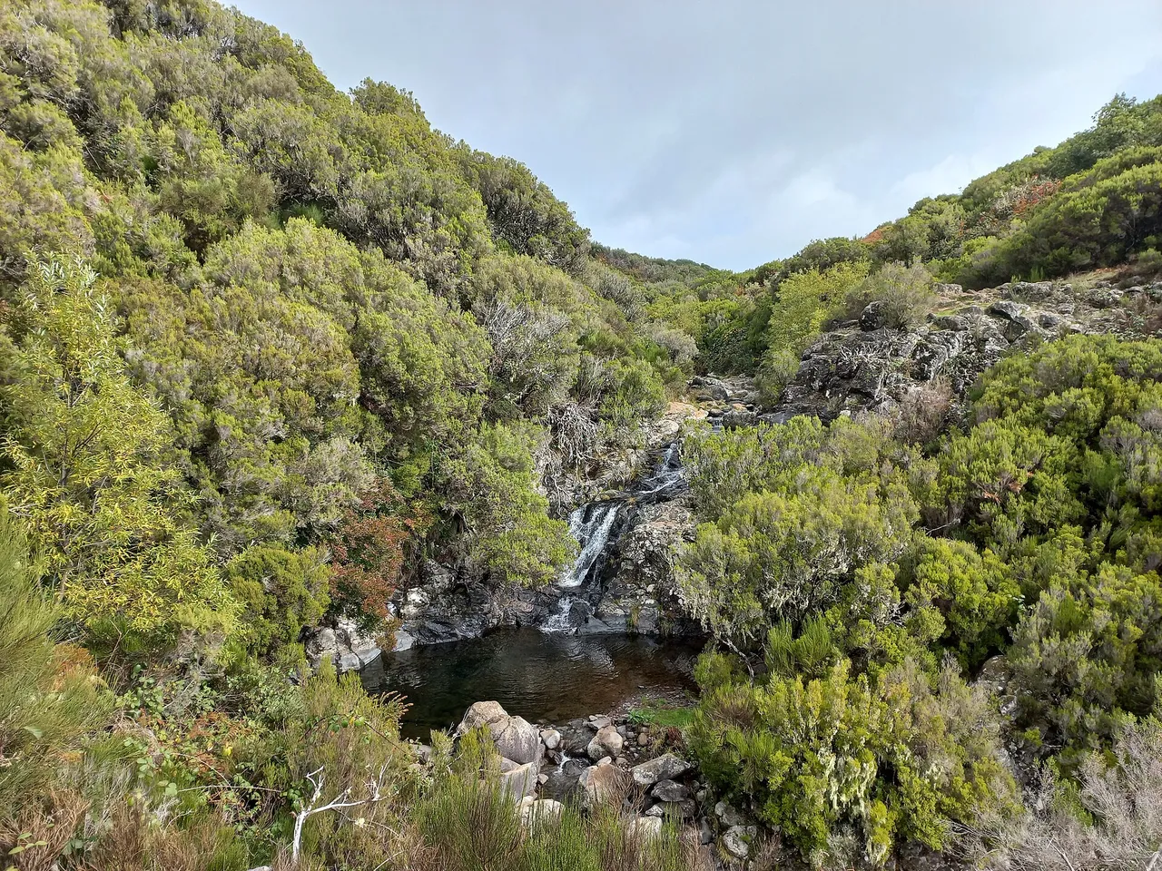 Levada da Rocha Vermelha, Wanderweg auf Madeira (PR28)