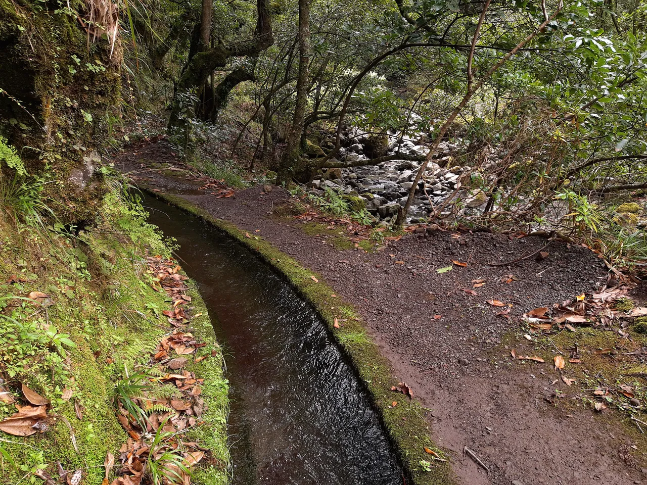 Levada do Blandy, Madeira hiking trail (L-BLANDY)