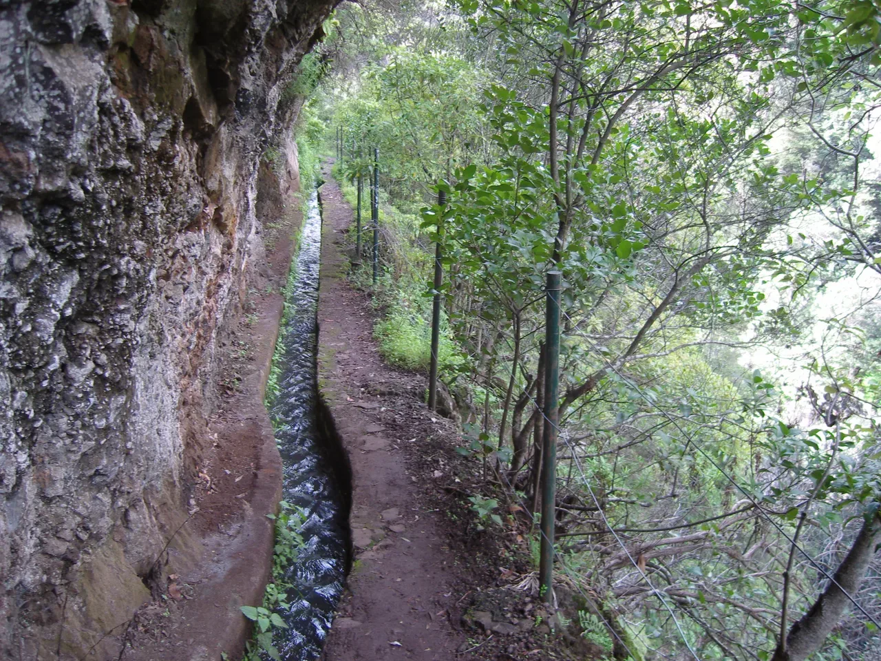 Levada do Bom Sucesso, Madeira hiking trail (L-BOMSUCESSO)