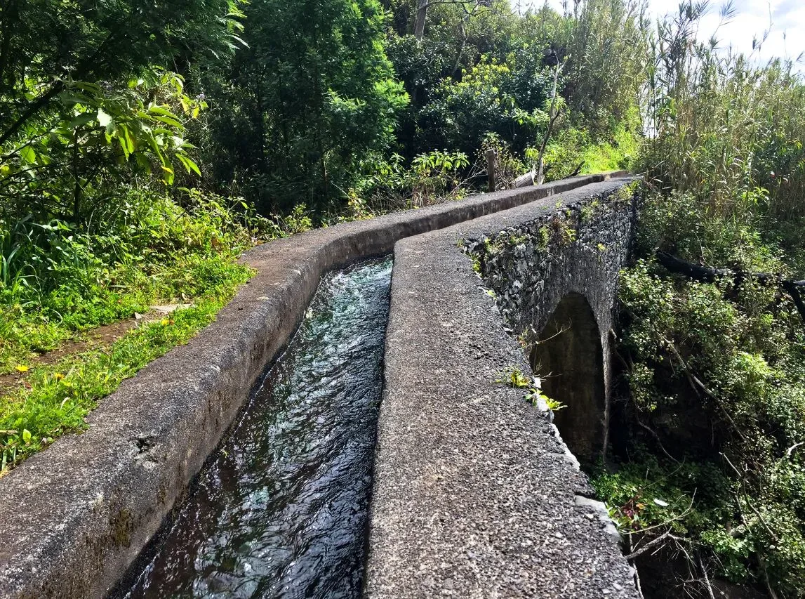 Levada do Caniço, Madeira hiking trail (L-CANIÇO)