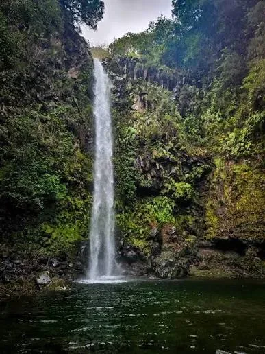 Poço do Candeeiro, Madeira hiking trail (POCO-CANDEEIRO)
