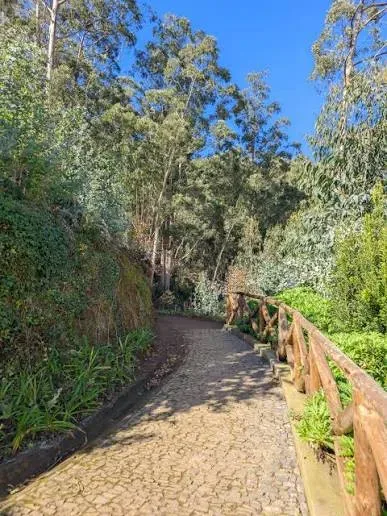 Vereda da Boca dos Namorados, Madeira hiking trail (V-NAMORADOS)