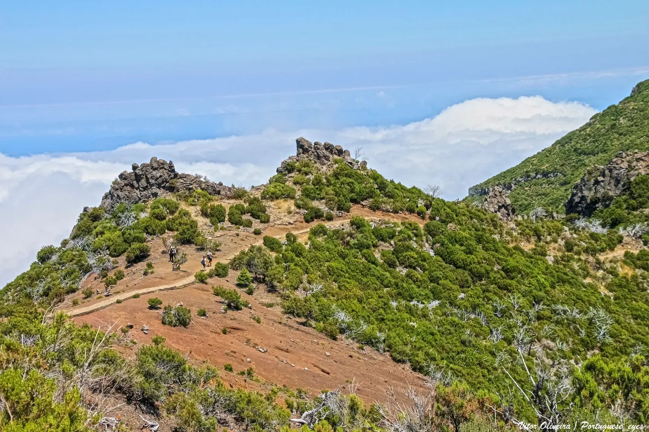 Vereda da Encumeada, Madeira hiking trail (PR1.3)
