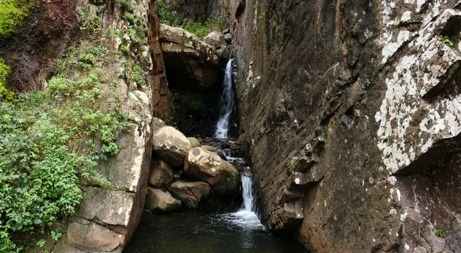 Vereda da Ladeira, Madeira hiking trail in Porto Moniz (V-LADEIRA)
