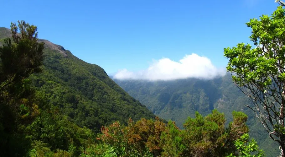 Vereda da Terra Chã, Madeira hiking trail in Porto Moniz (V-TERRACHA)