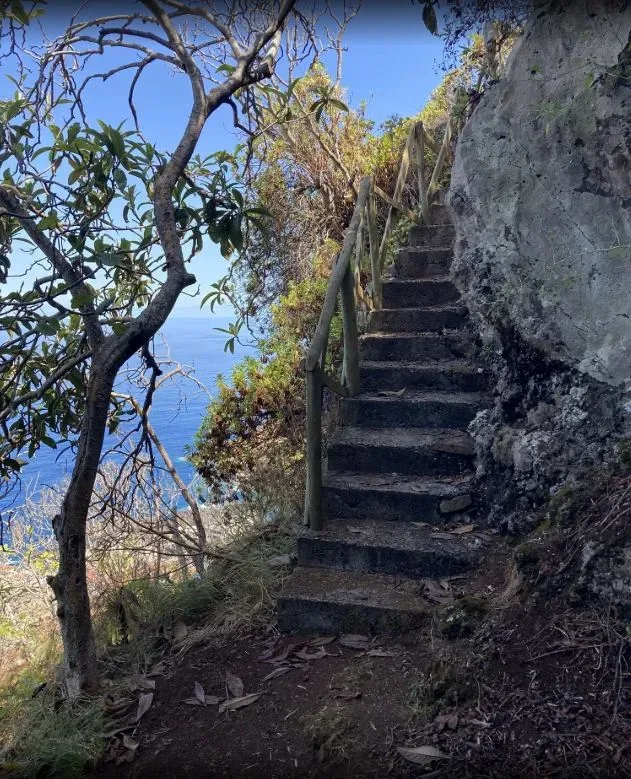 Vereda da Vigia, Madeira hiking trail (V-VIGIA)