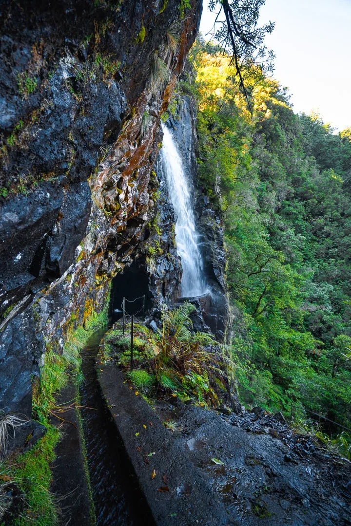 Vereda das Feitas, Madeira hiking trail (V-FEITAS)