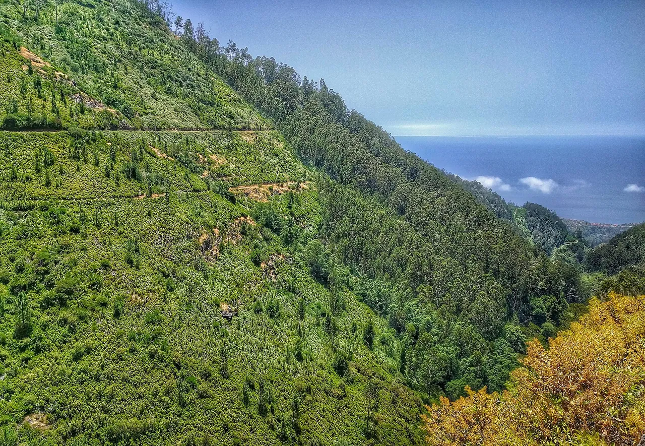 Vereda do Túnel do Cavalo, Madeira hiking trail (PR6.6)